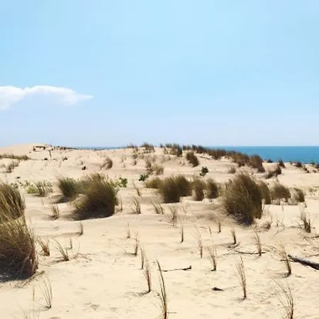 3 Chambres, Animaux Admis, Parking, Proche - Fr-1-705-38 Сasa de vacaciones Les Mathes