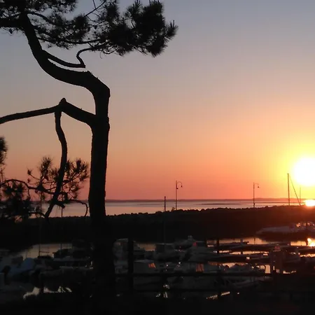 Сasa de vacaciones 3 Chambres, Animaux Admis, Parking, Proche - Fr-1-705-38 *