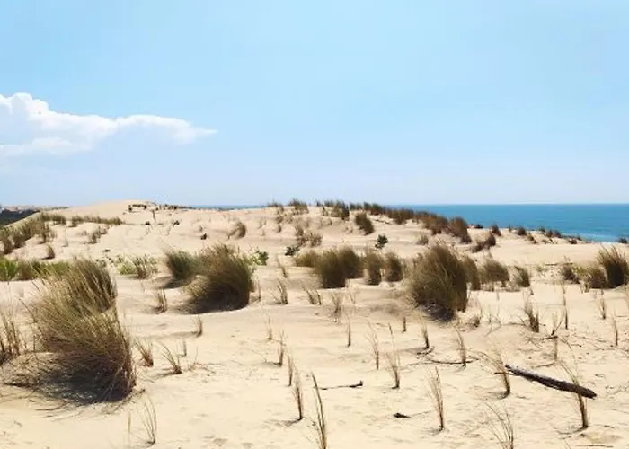 3 Chambres, Animaux Admis, Parking, Proche - Fr-1-705-38 Σπίτι διακοπών Les Mathes